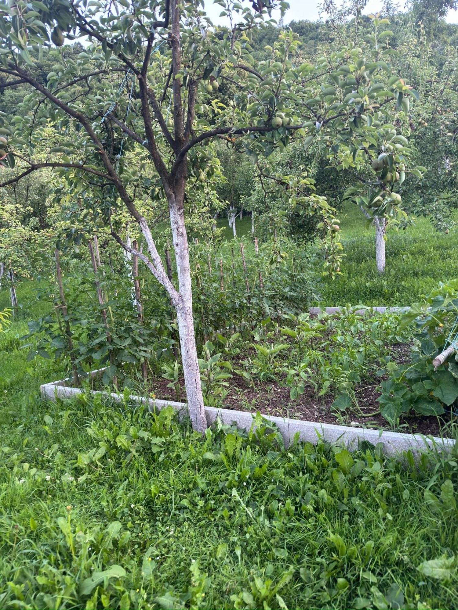 Вилла Resting House Oaza Бихач Экстерьер фото